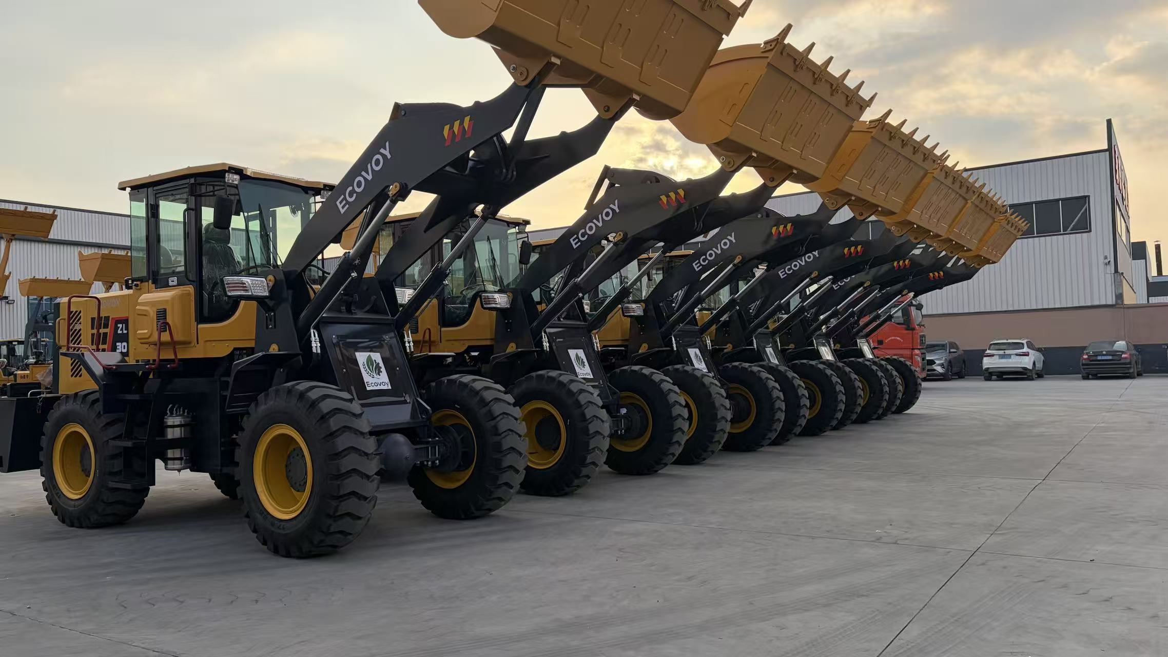 Small Wheel Loader (30) - Image 4